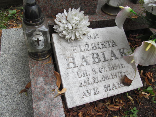 Eugeniusz Habiak 1931 Bolków - Grobonet - Wyszukiwarka osób pochowanych