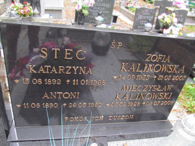 Katarzyna Steć 1892 Bolków - Grobonet - Wyszukiwarka osób pochowanych