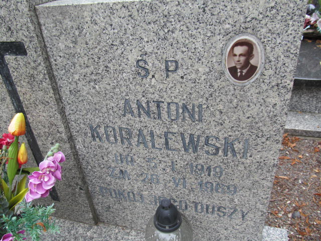 Antoni Koralewski 1919 Bolków - Grobonet - Wyszukiwarka osób pochowanych