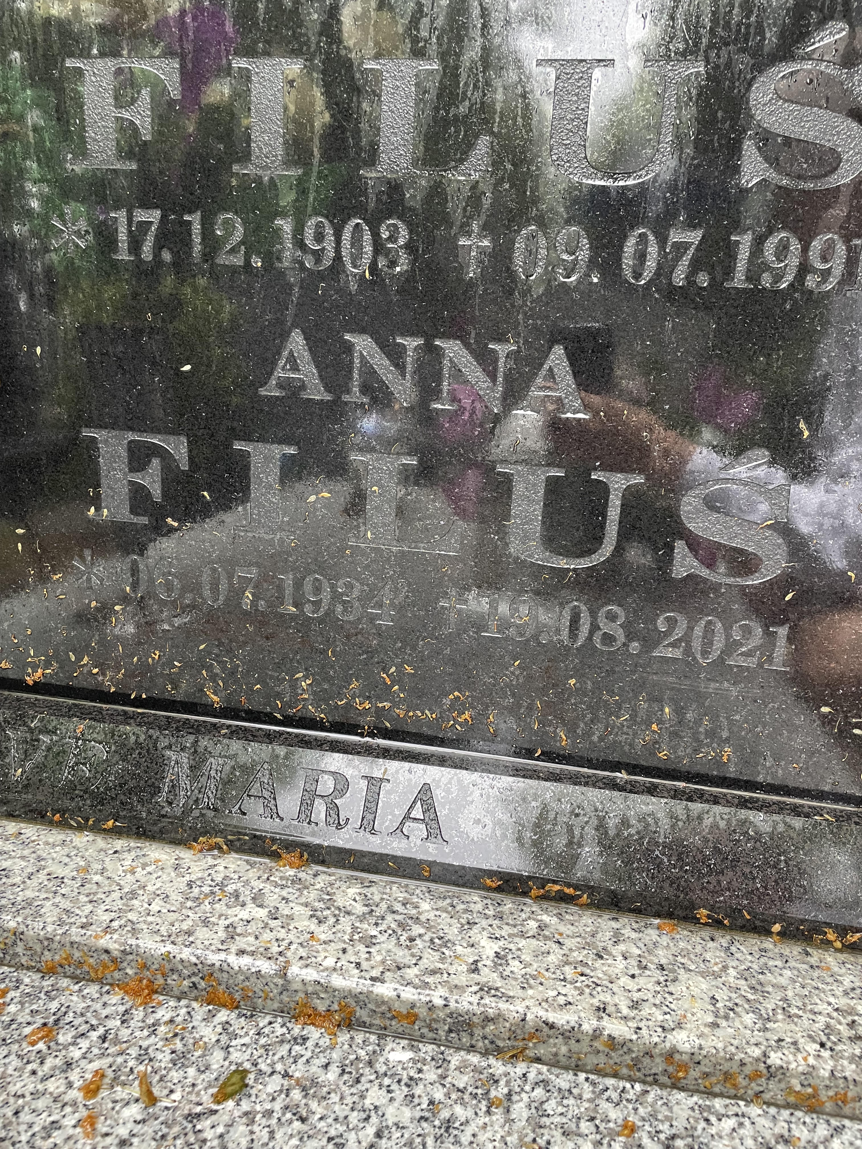 Grób Anna Filuś