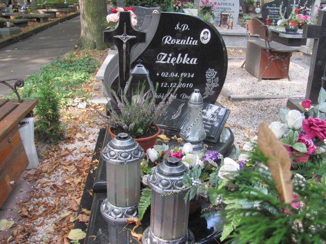 Grób Rozalia Ziębka