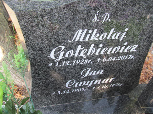 Halina Gołębiewicz 1954 Bolków - Grobonet - Wyszukiwarka osób pochowanych