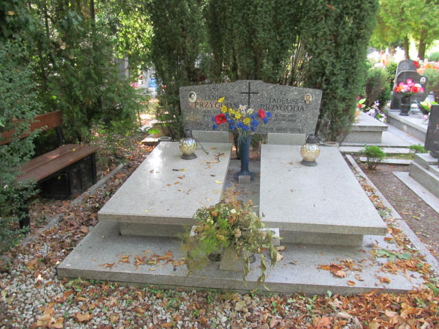 Grób Tadeusz Przygoda 
