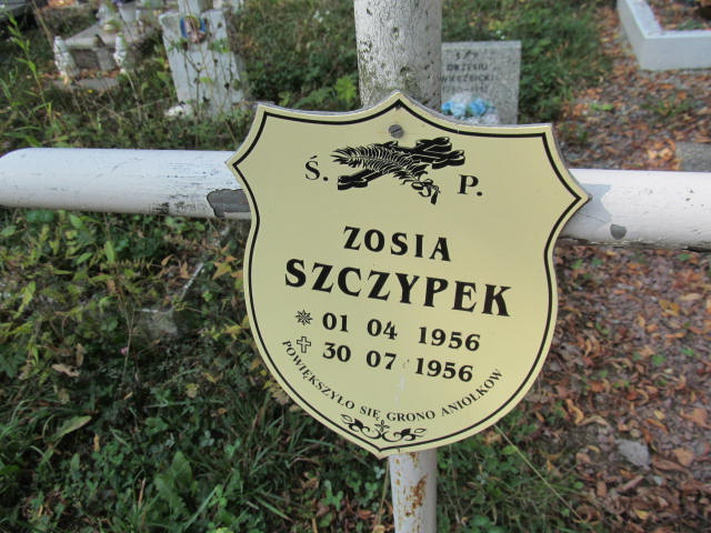 Zofia Szczypek 1956 Bolków - Grobonet - Wyszukiwarka osób pochowanych