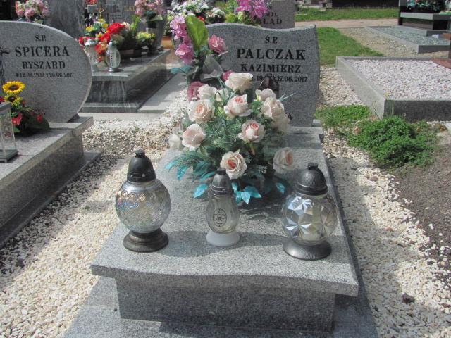 Grób Zenona Palczak